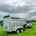 M-TEC 12FT X 6FT Twin Axle Livestock Trailer