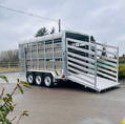 M-TEC 12FT X 6FT Tri Axle Livestock Trailer