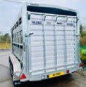 M-TEC 12FT X 6FT Tri Axle Livestock Trailer