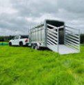 M-TEC 12FT X 6FT Twin Axle Livestock Trailer